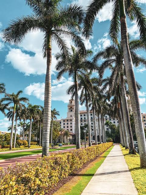 downtown west palm beach