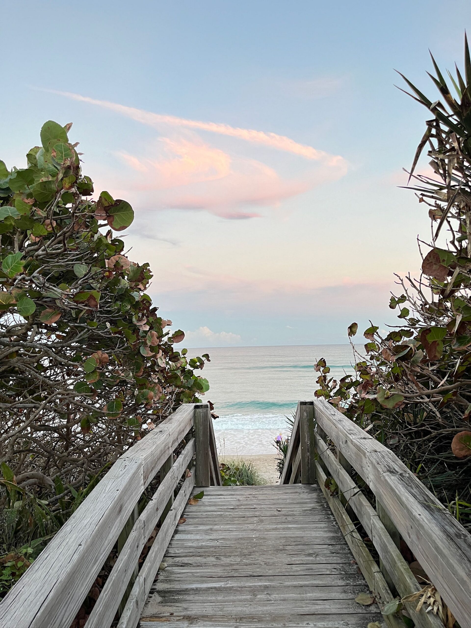 Juno Beach