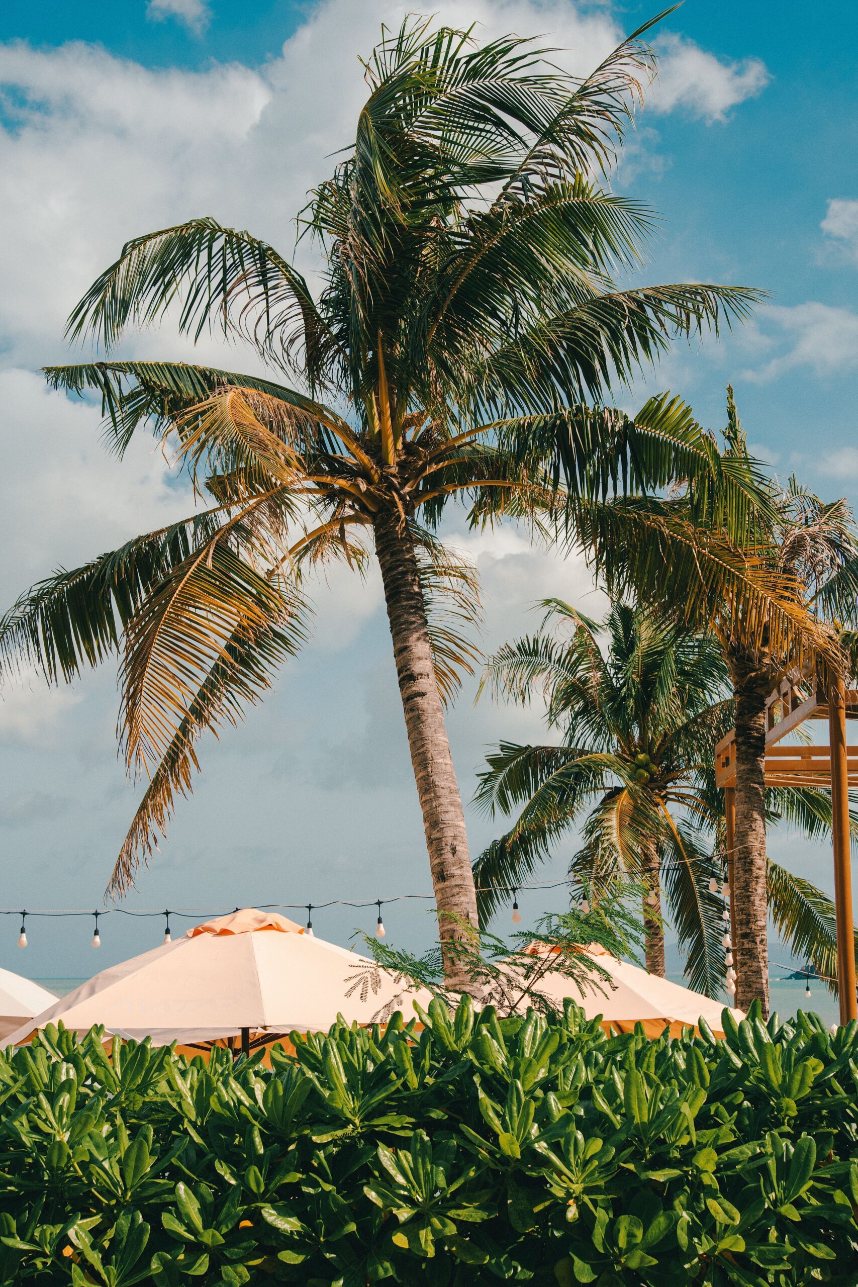 Palm Beach Gardens' Trusted AC Repair Company